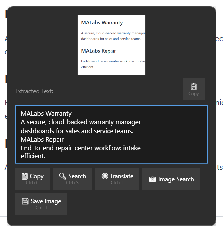 Glance Search – region selection overlay